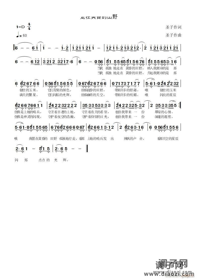 走在黄昏的田野