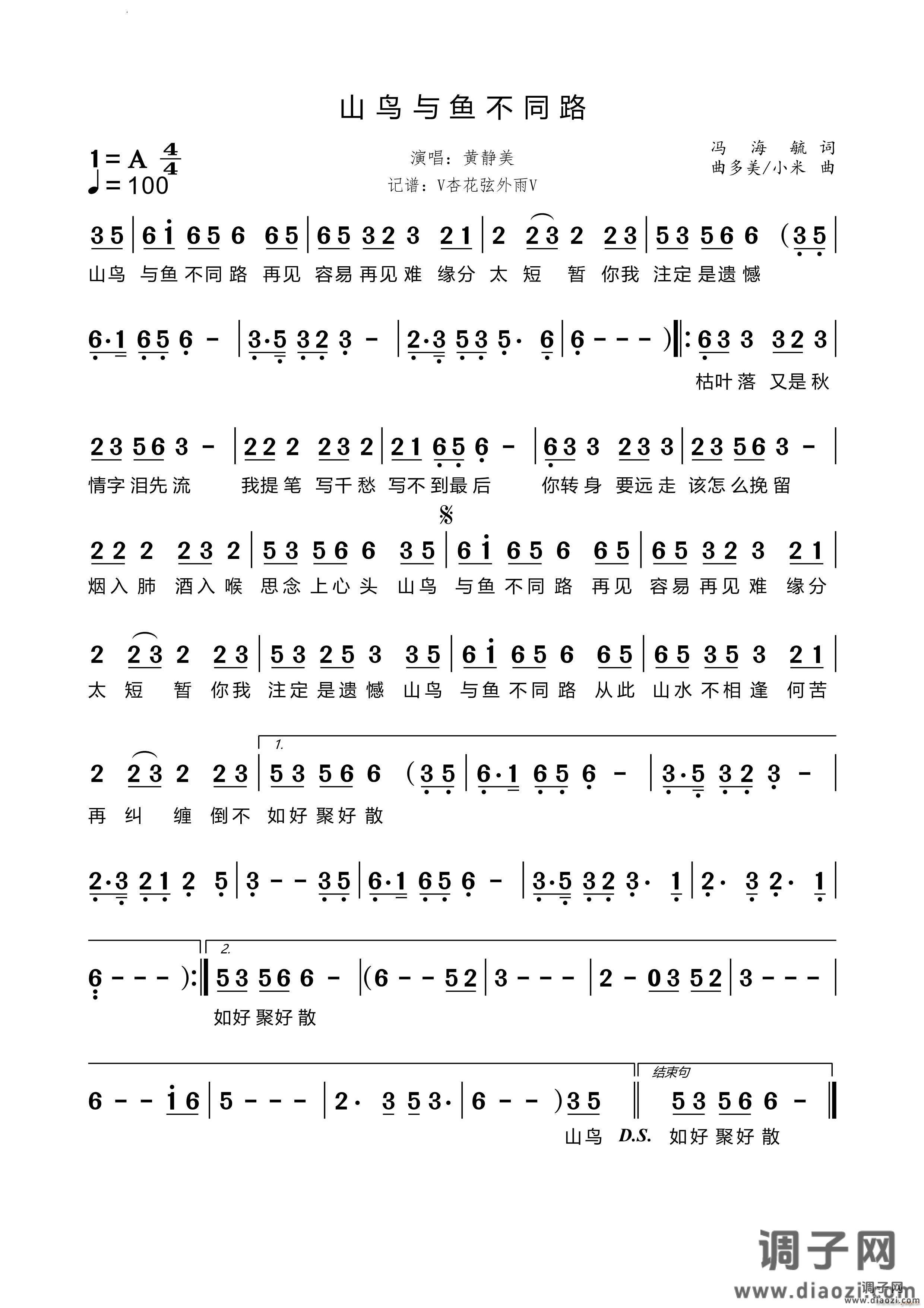 山鸟与鱼不同路