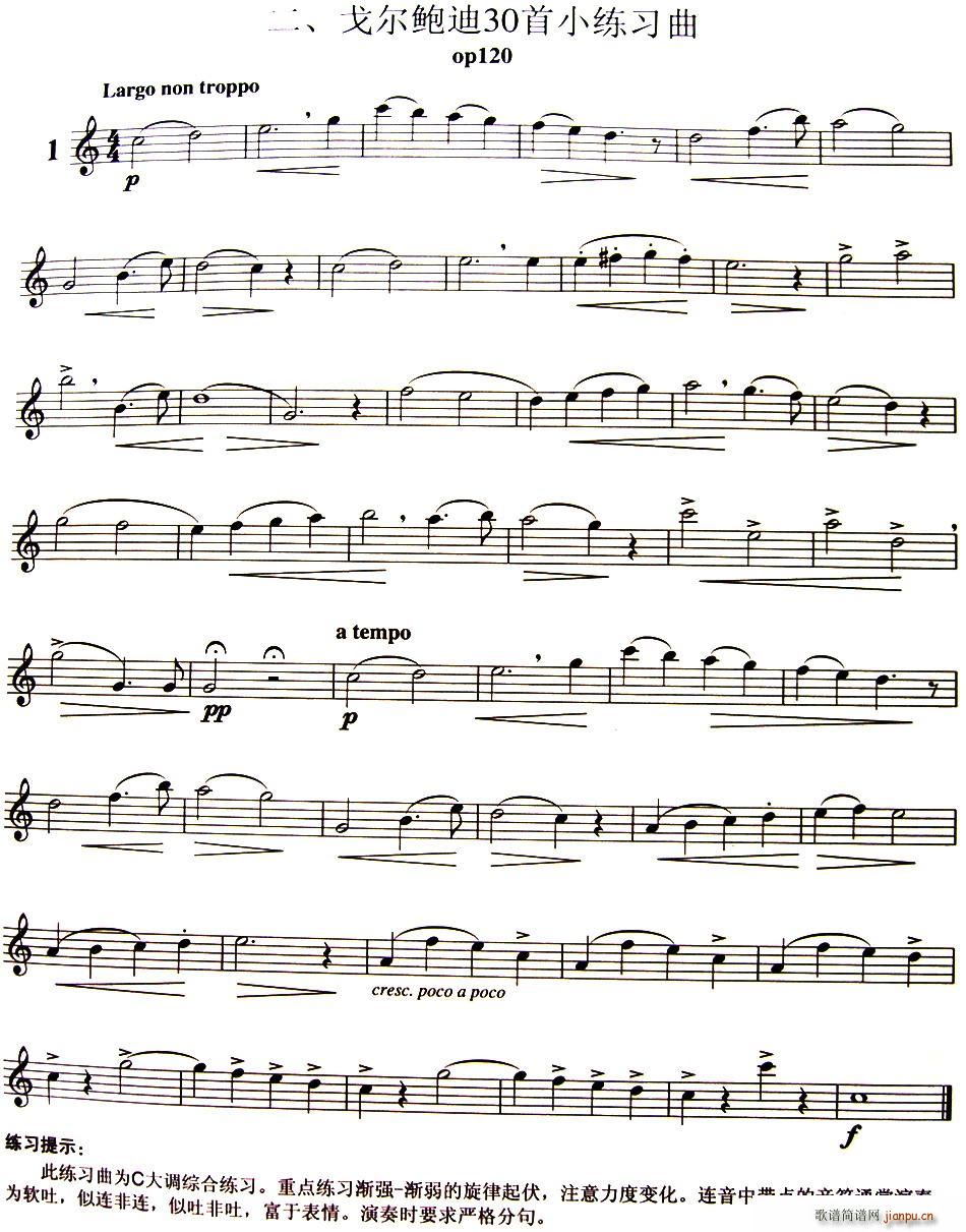 三十首小练习曲作品120号（NO 1） 长笛