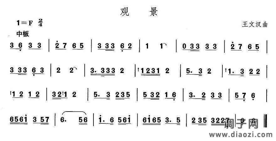 东北秧歌：观景