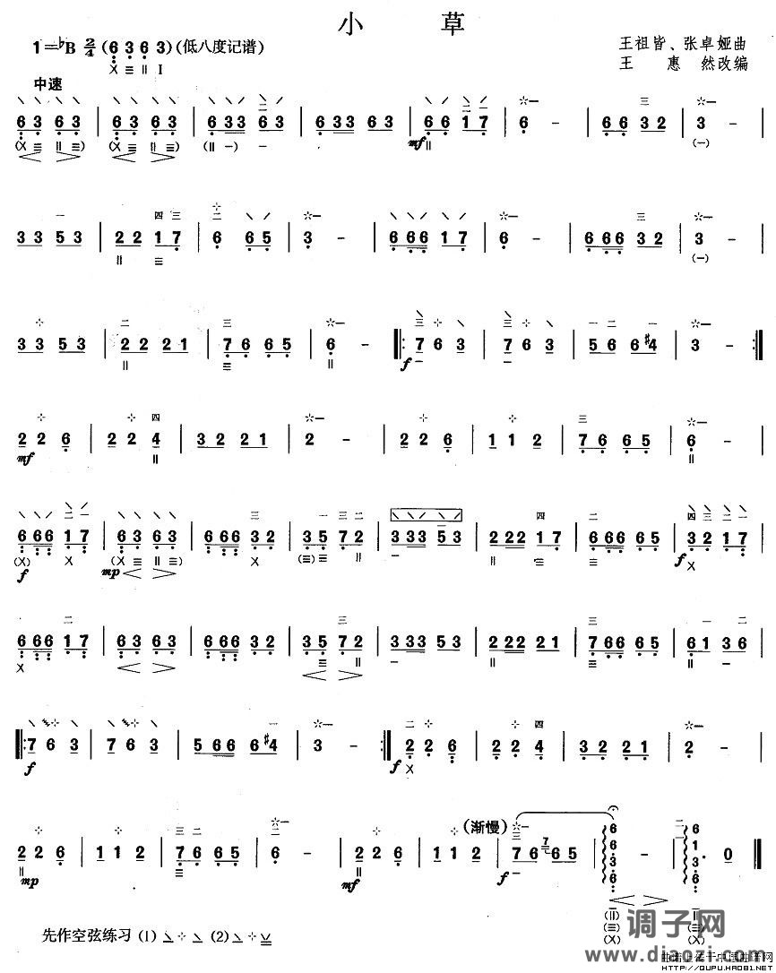 柳琴二级：小草