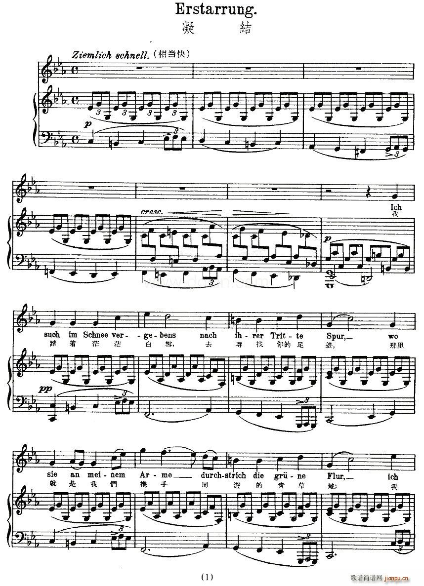 凝结（中外文对照版、正谱 [奥]）