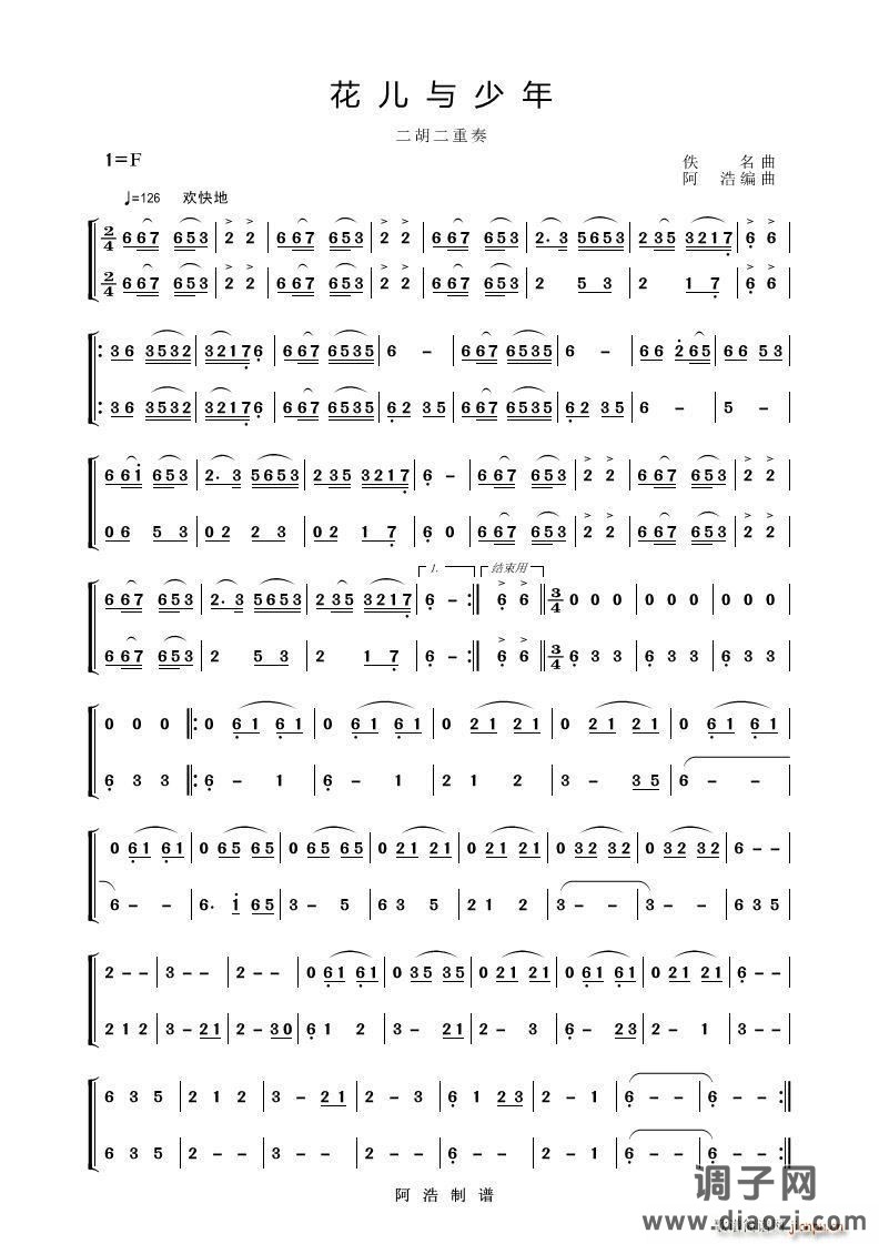 花儿与少年（二胡二重奏）