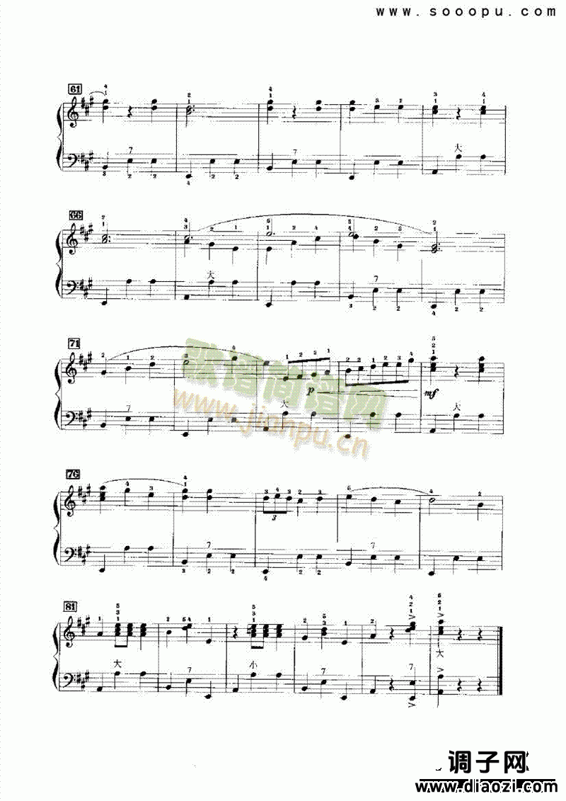 西班牙女郎 键盘类 手风琴