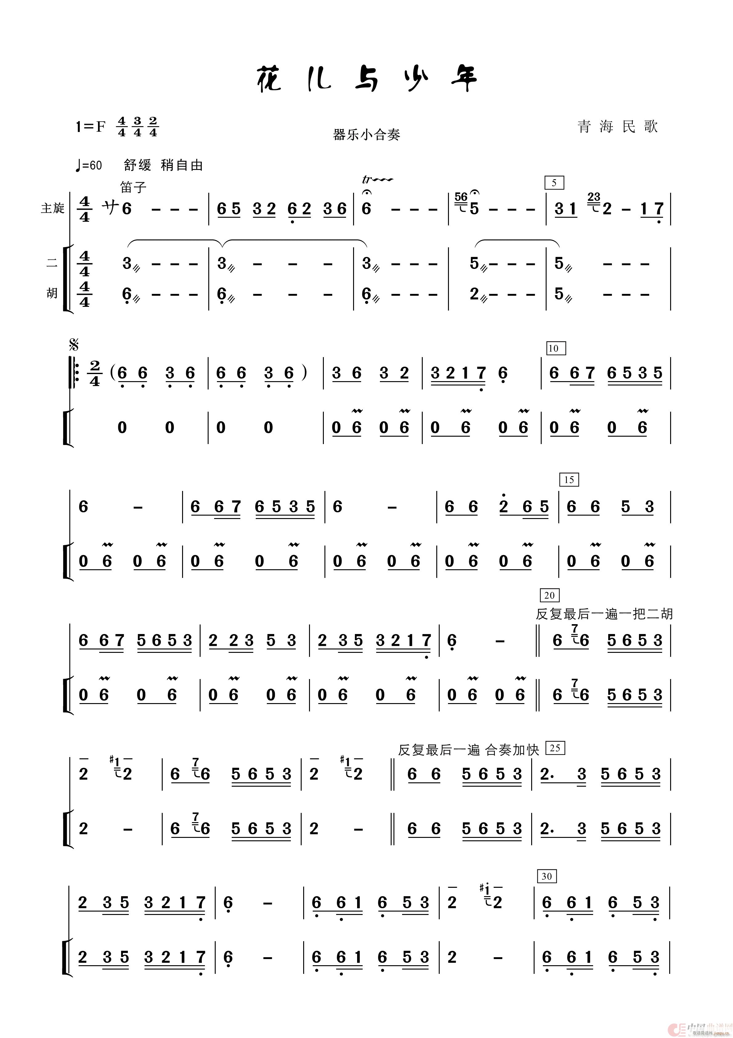 花儿与少年（民乐小合奏）