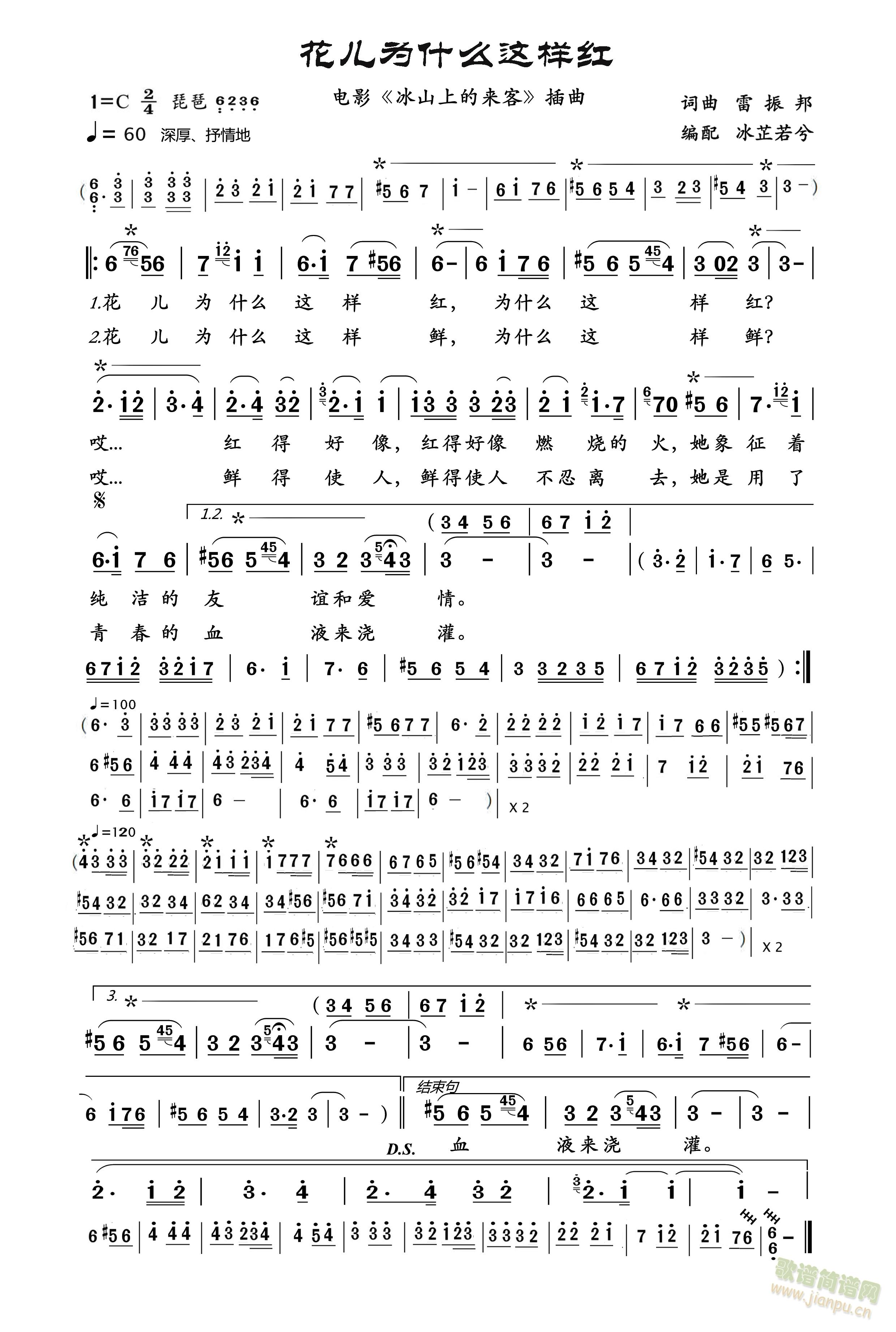 花儿为什么这样红