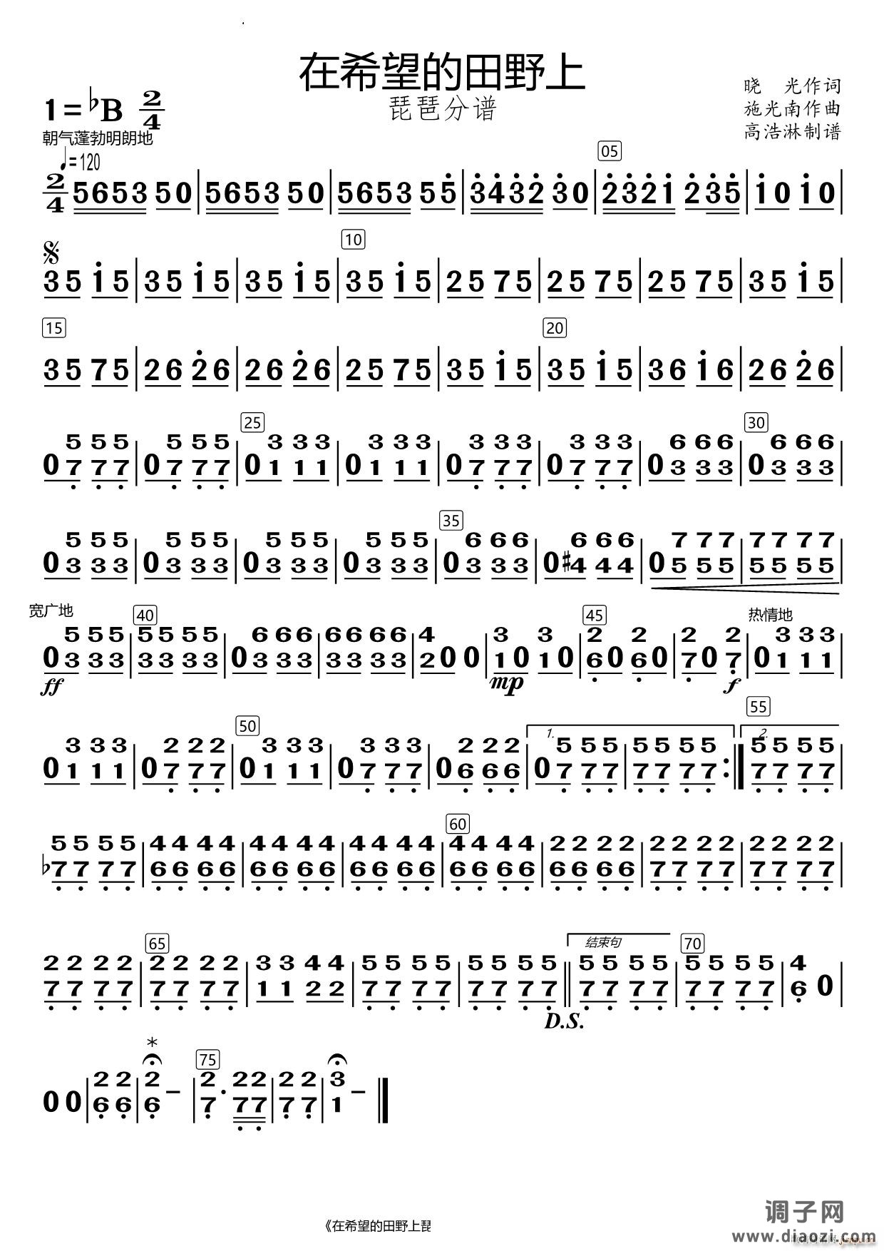 在希望的田野上琵琶分谱