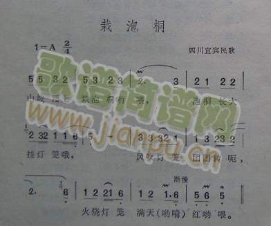 栽泡桐（四川宜宾民歌）