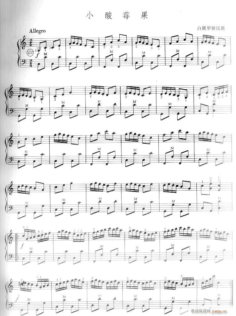 小酸梅果-手风琴