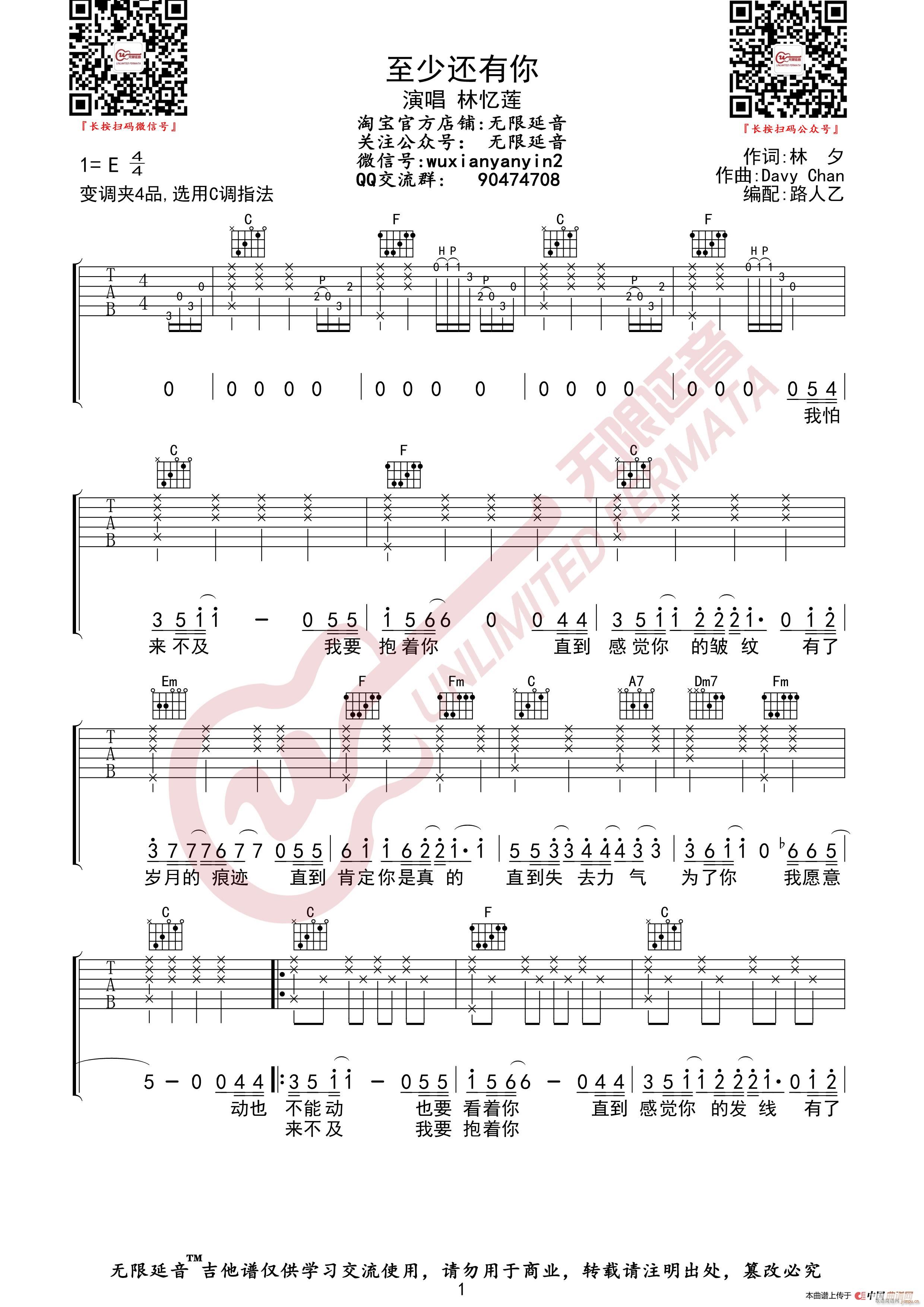 林忆莲 至少还有你 （无限延音编配）