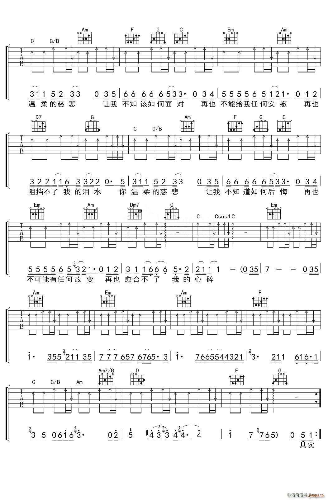 温柔的慈悲 -C调