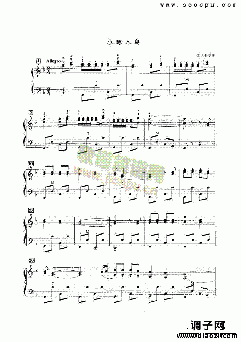 小啄木鸟 键盘类 手风琴