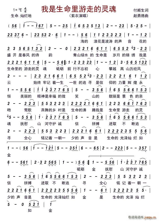 我是生命里游走的灵魂