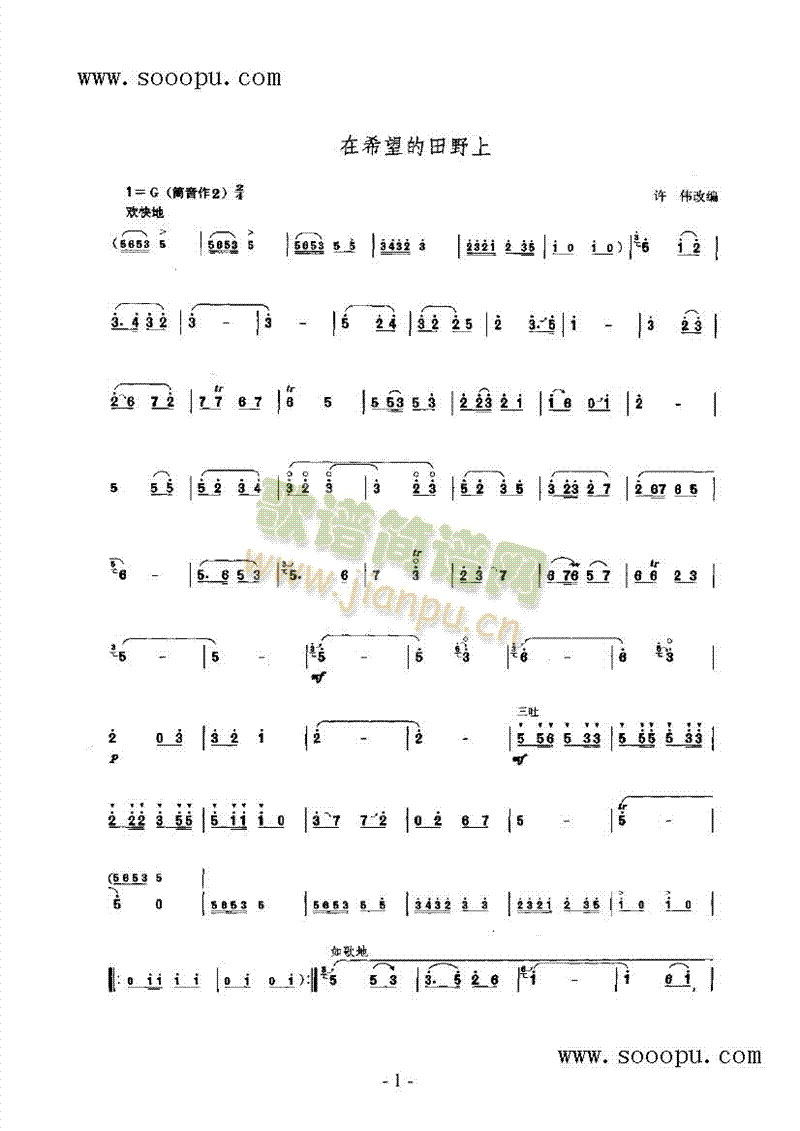 在希望的田野上 民乐类 唢呐