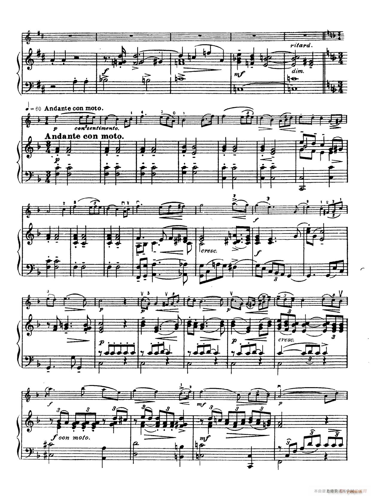 D大调学生协奏曲（塞茨作品第15号）