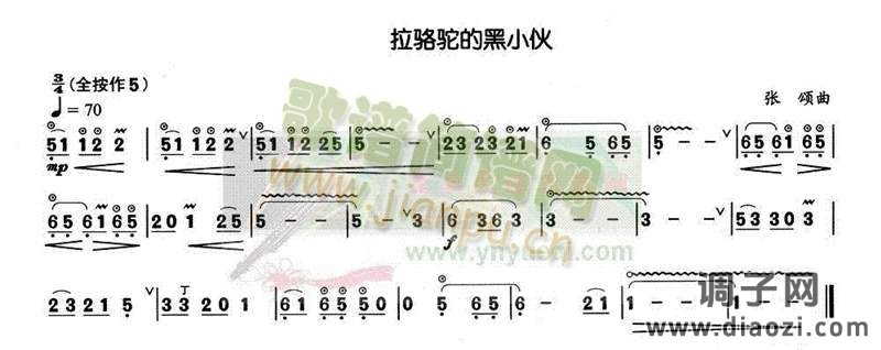 拉骆驼的黑小伙