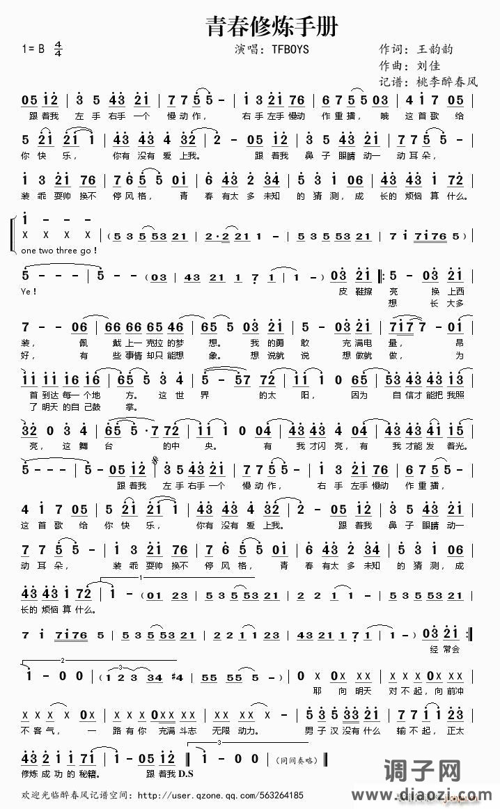 Handbook of youth praactice