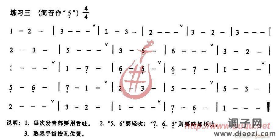 发音、长音及基础练习