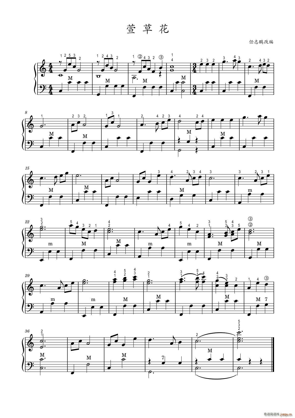 萱草花（手风琴 高清版）