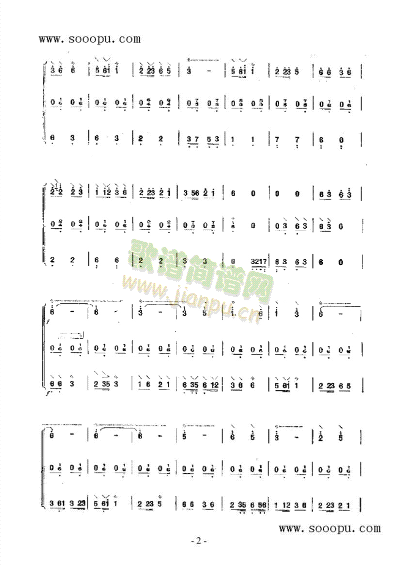 小牧民 民乐类 阮