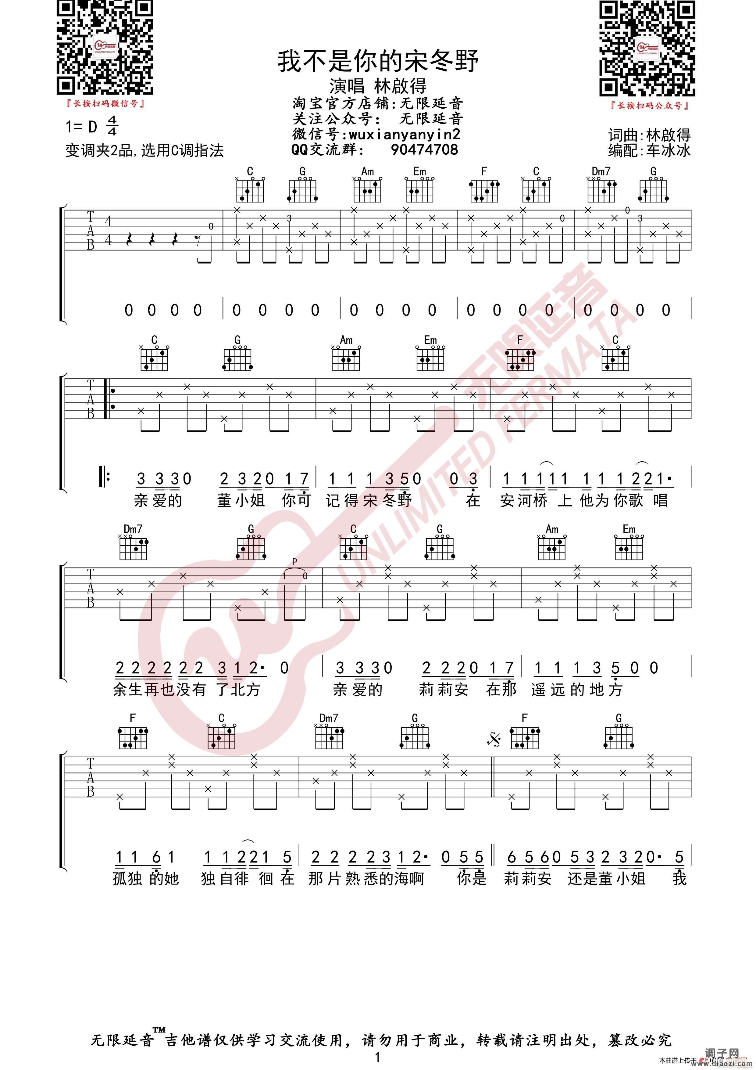 林啟得 我不是你的宋冬野 （无限延音编配）
