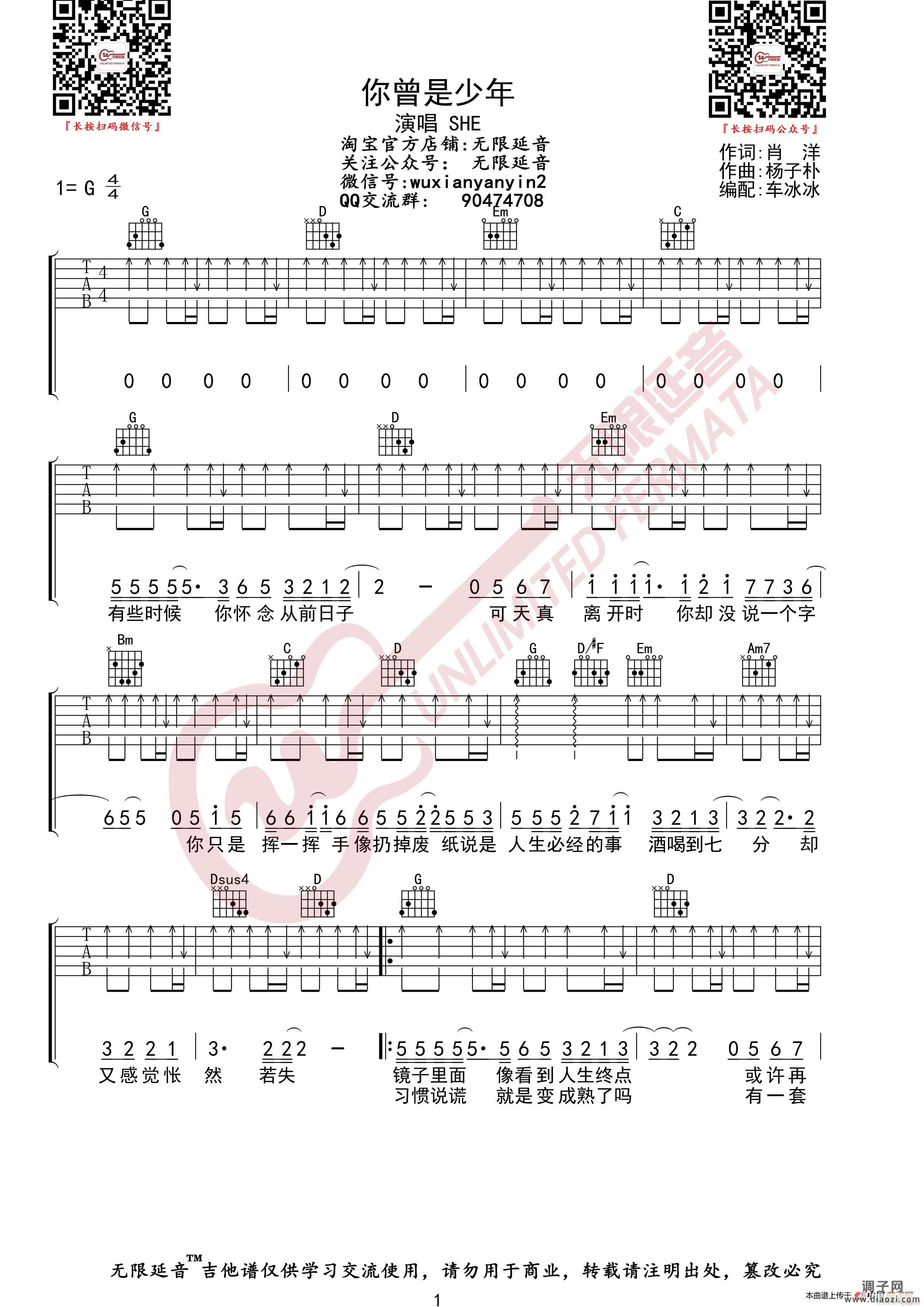 SHE 你曾是少年 （无限延音编配）