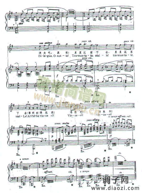 今夜不能入睡  （选自普契尼 歌剧）