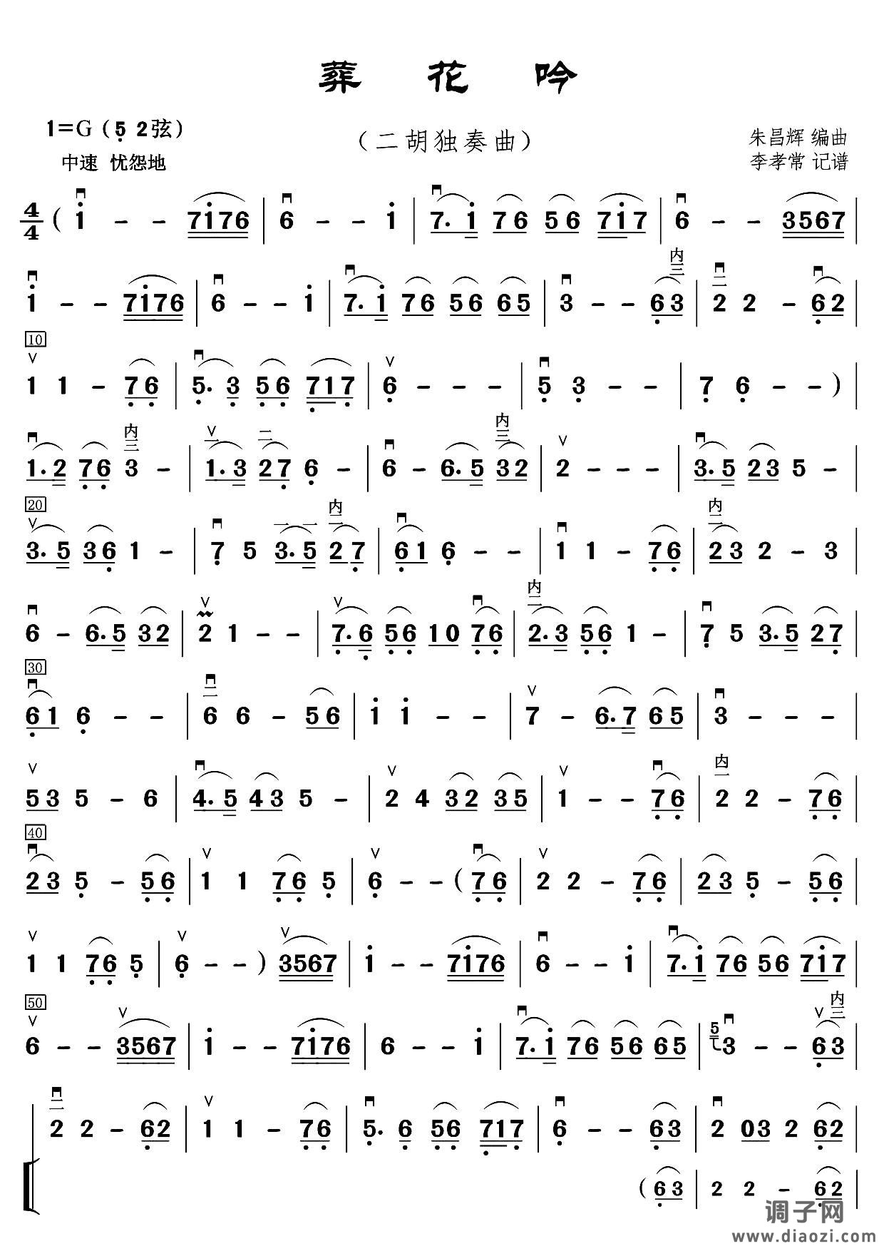 葬花吟（5 2弦演奏版）