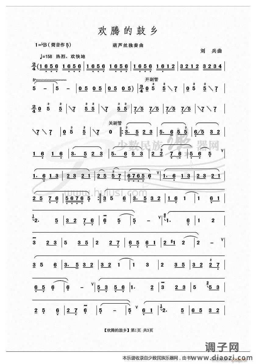 《欢腾的鼓乡》葫芦丝