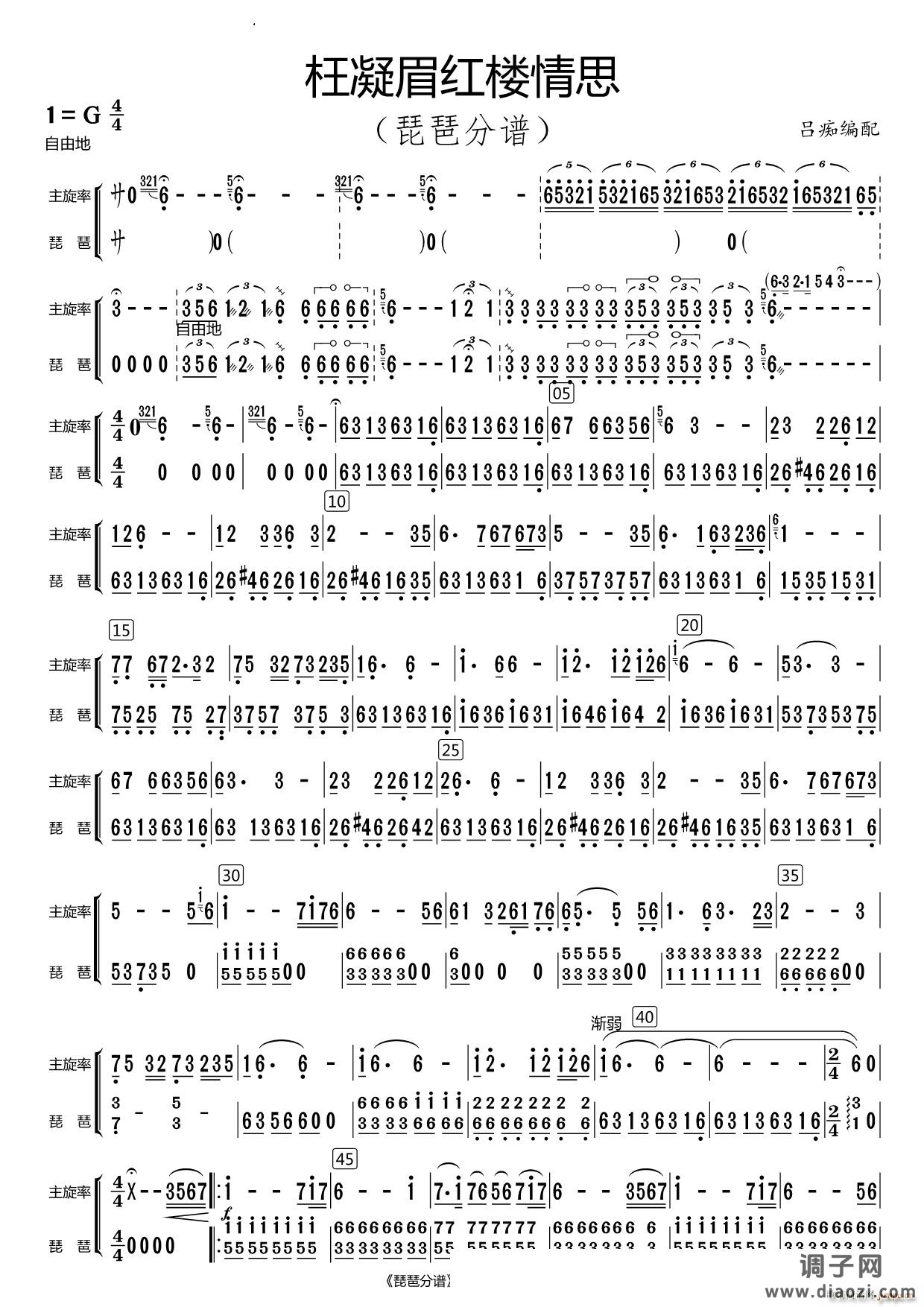 枉凝眉红楼情思琵琶分谱