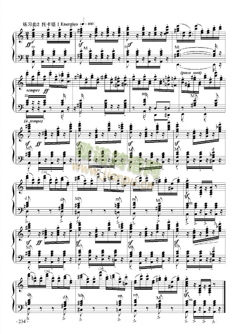 九级乐曲《帕格尼尼主题与变奏》 键盘类 手风琴