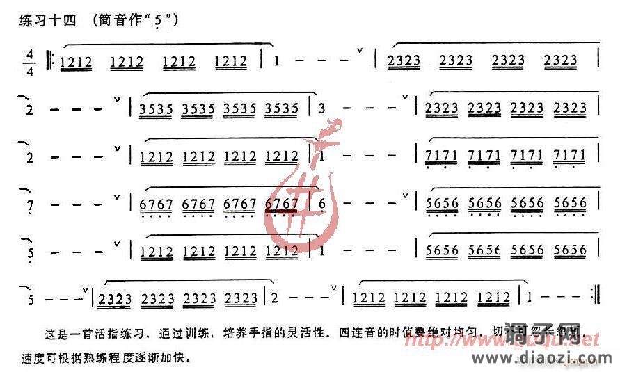 发音、长音及基础练习