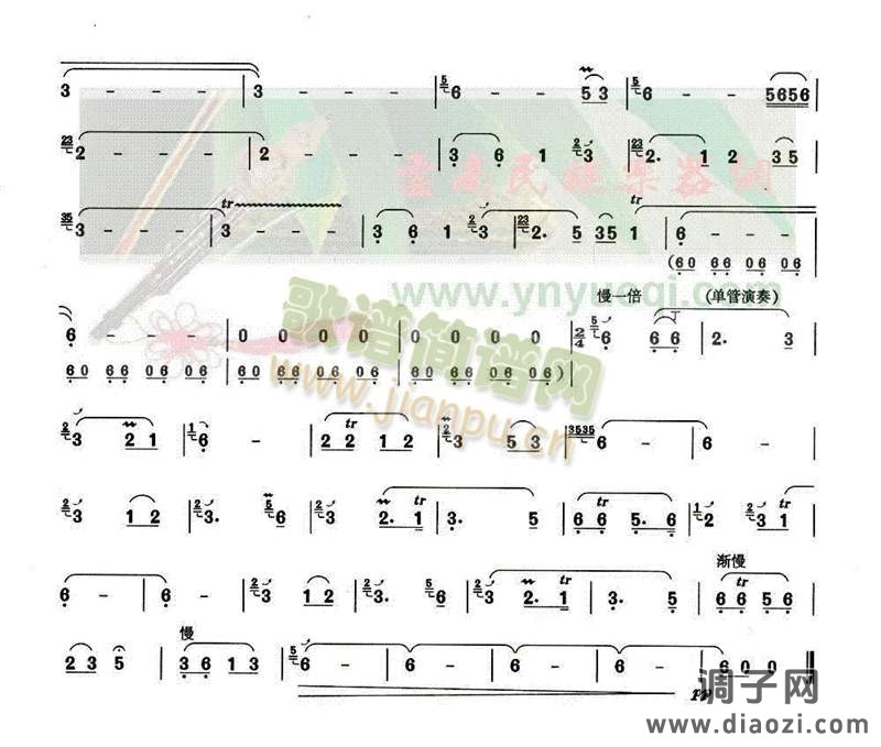 草原上升起不落的太阳