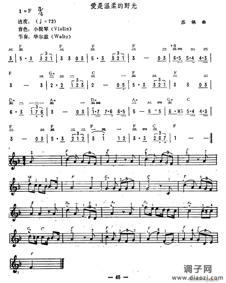 爱是温柔的野光