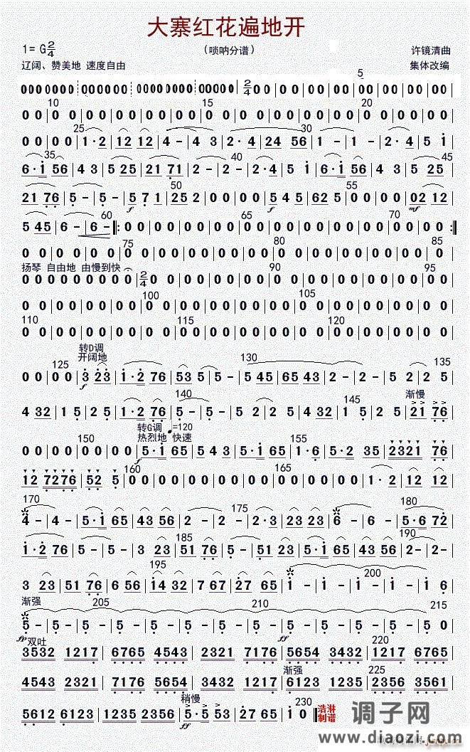 大寨红花遍地开（高音唢呐（修改版））