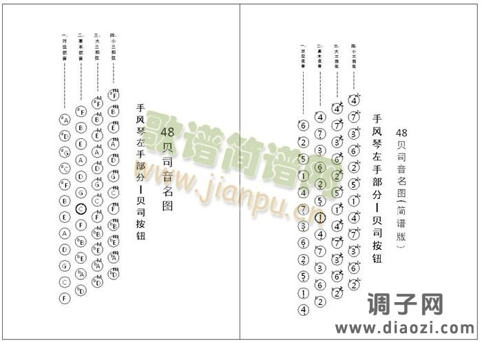 手风琴 贝司音名图