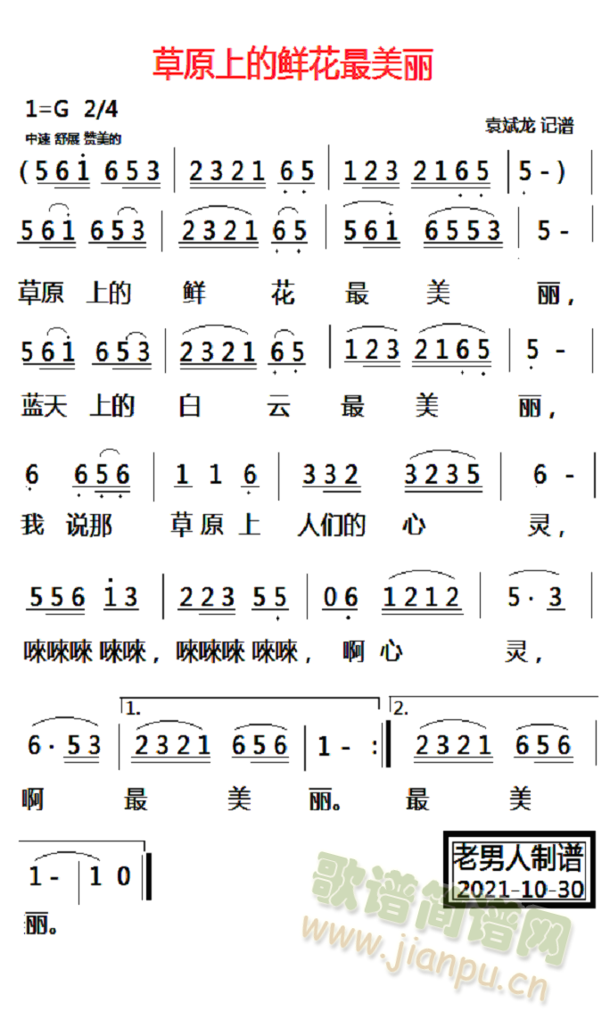草原上的鲜花最美丽