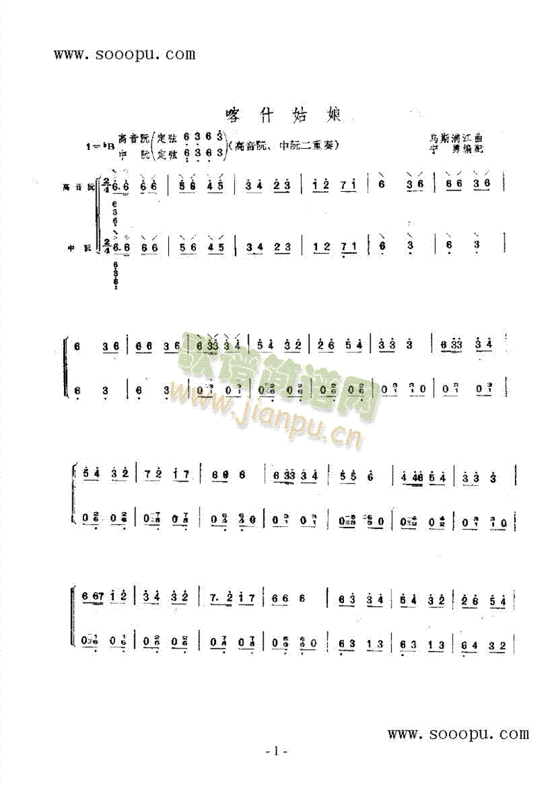 喀什姑娘 民乐类 阮