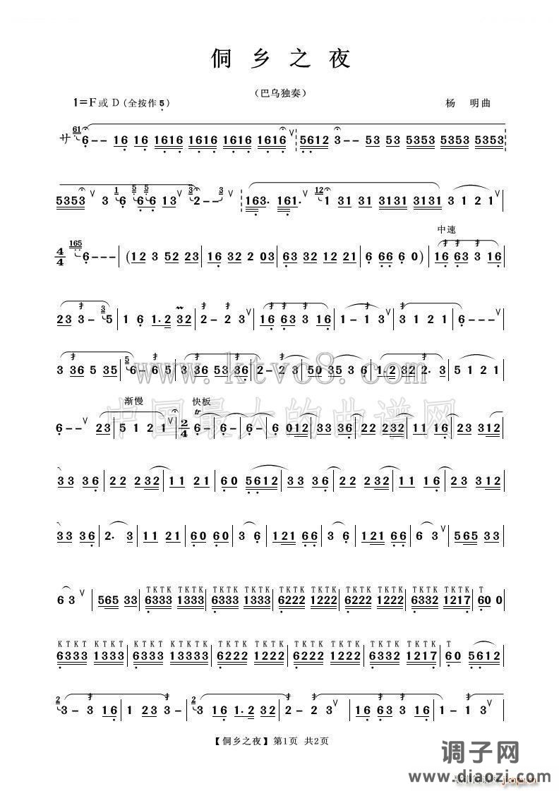 侗乡之夜 葫芦丝独奏