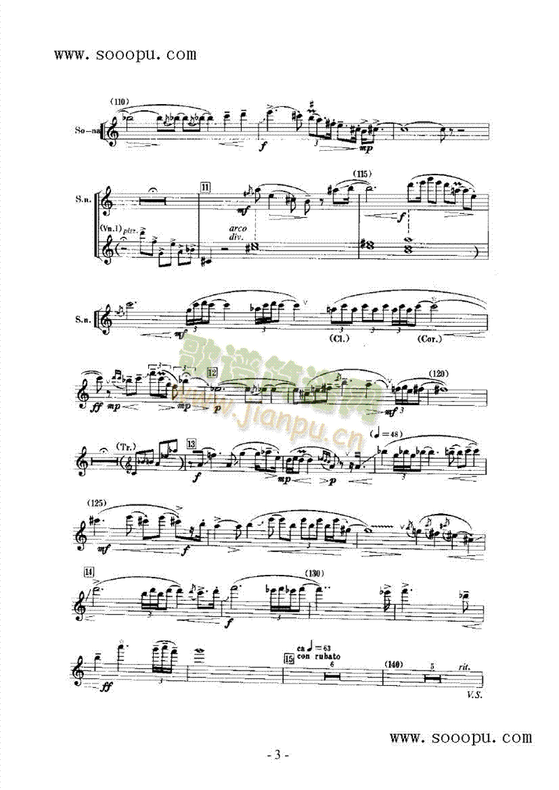 天乐 民乐类 唢呐