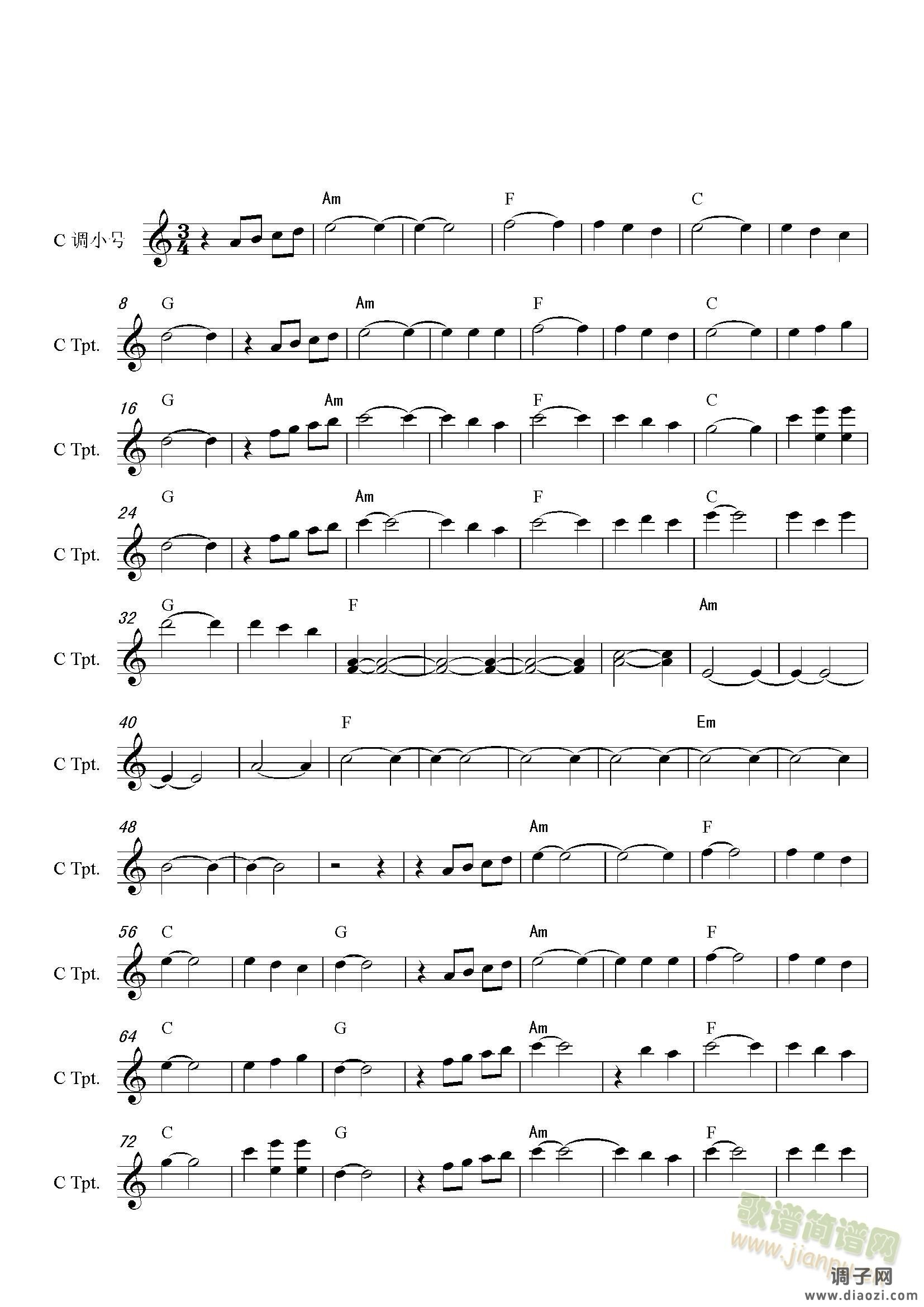 《警花与警犬》片头曲