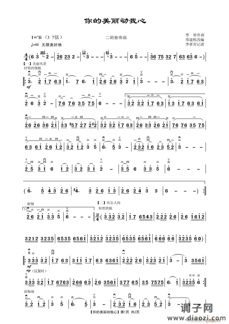 你的美丽动我心（二胡独奏曲）