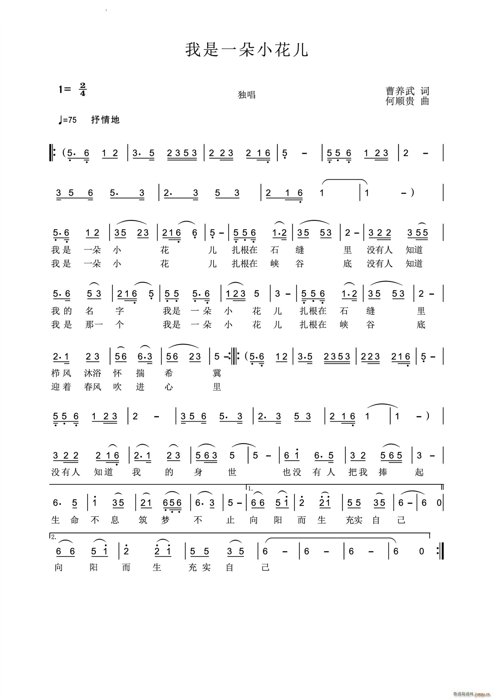 我是一朵小花儿