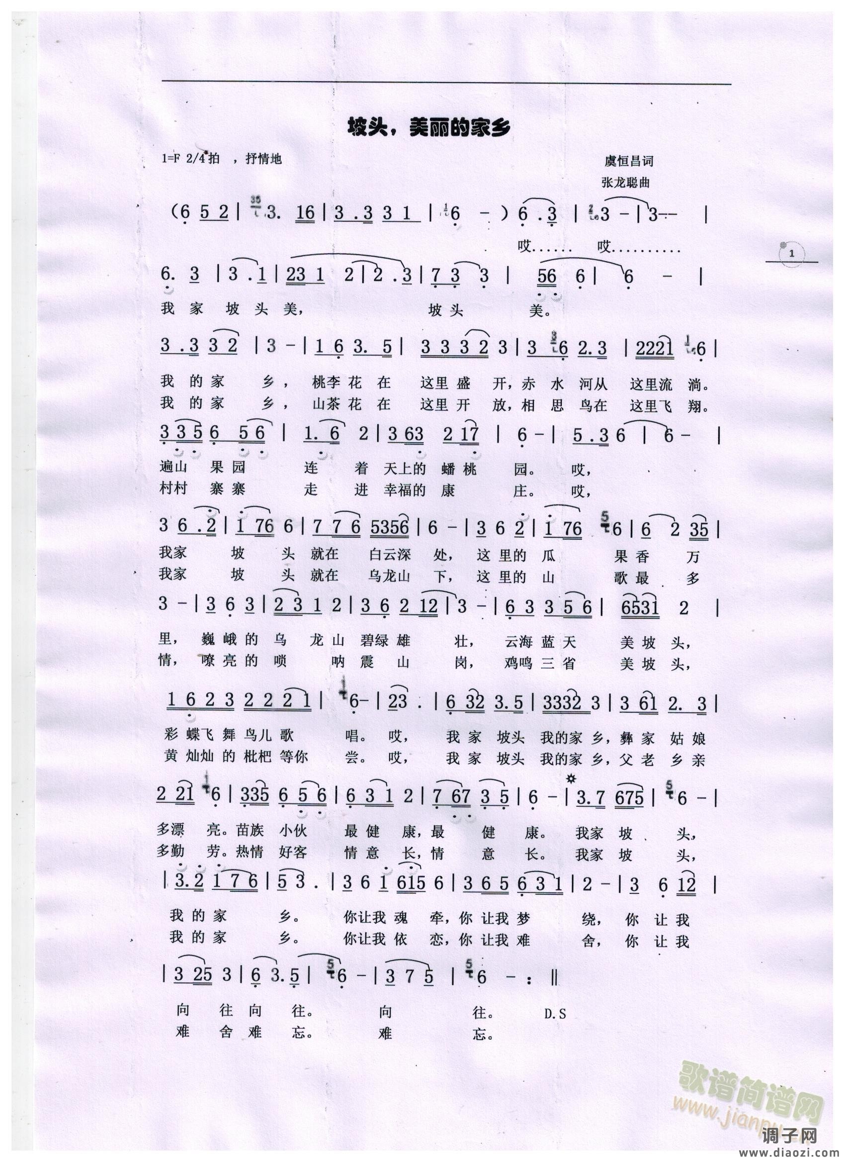 坡头，难忘的家乡