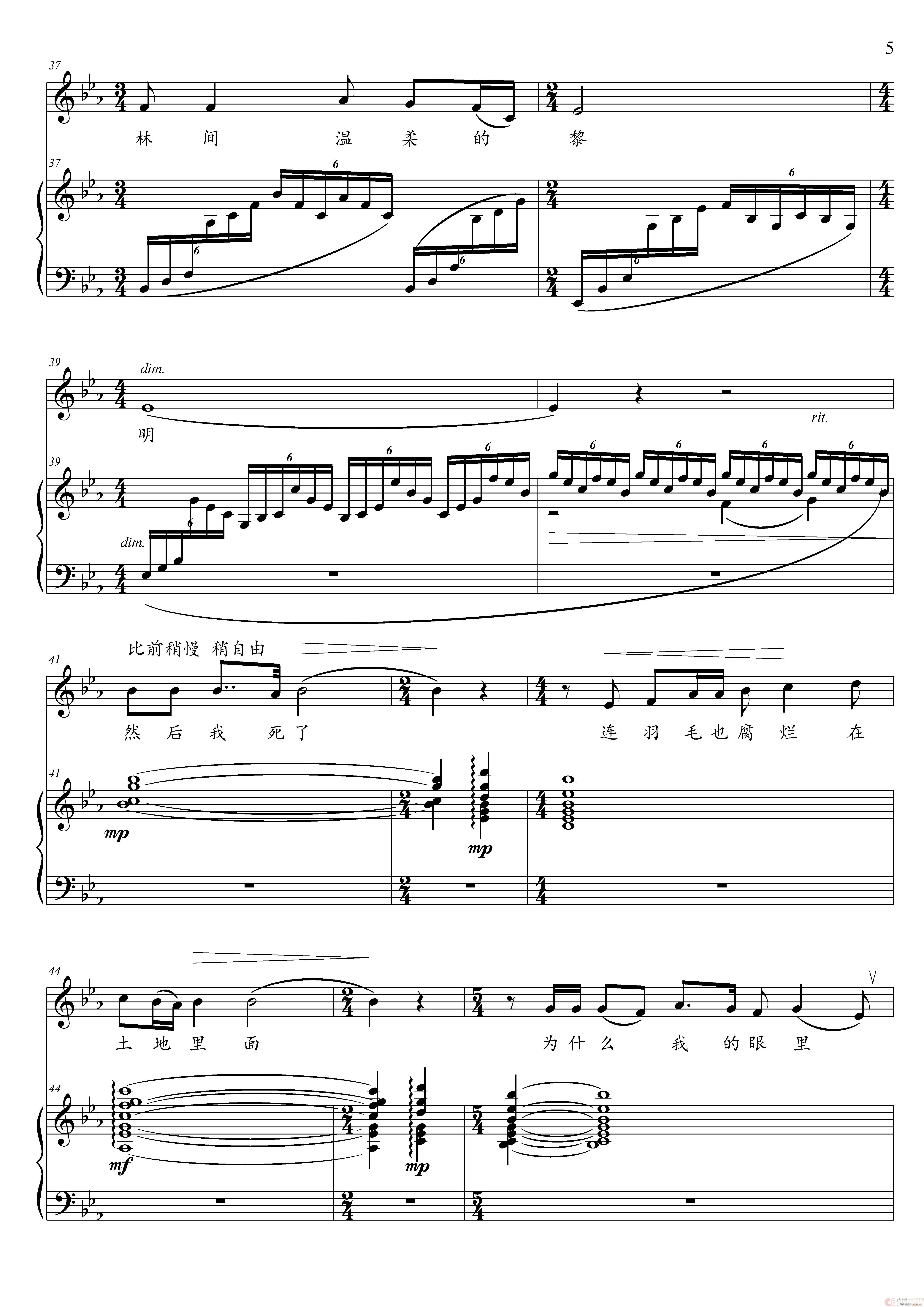 我爱这土地 （降E调）