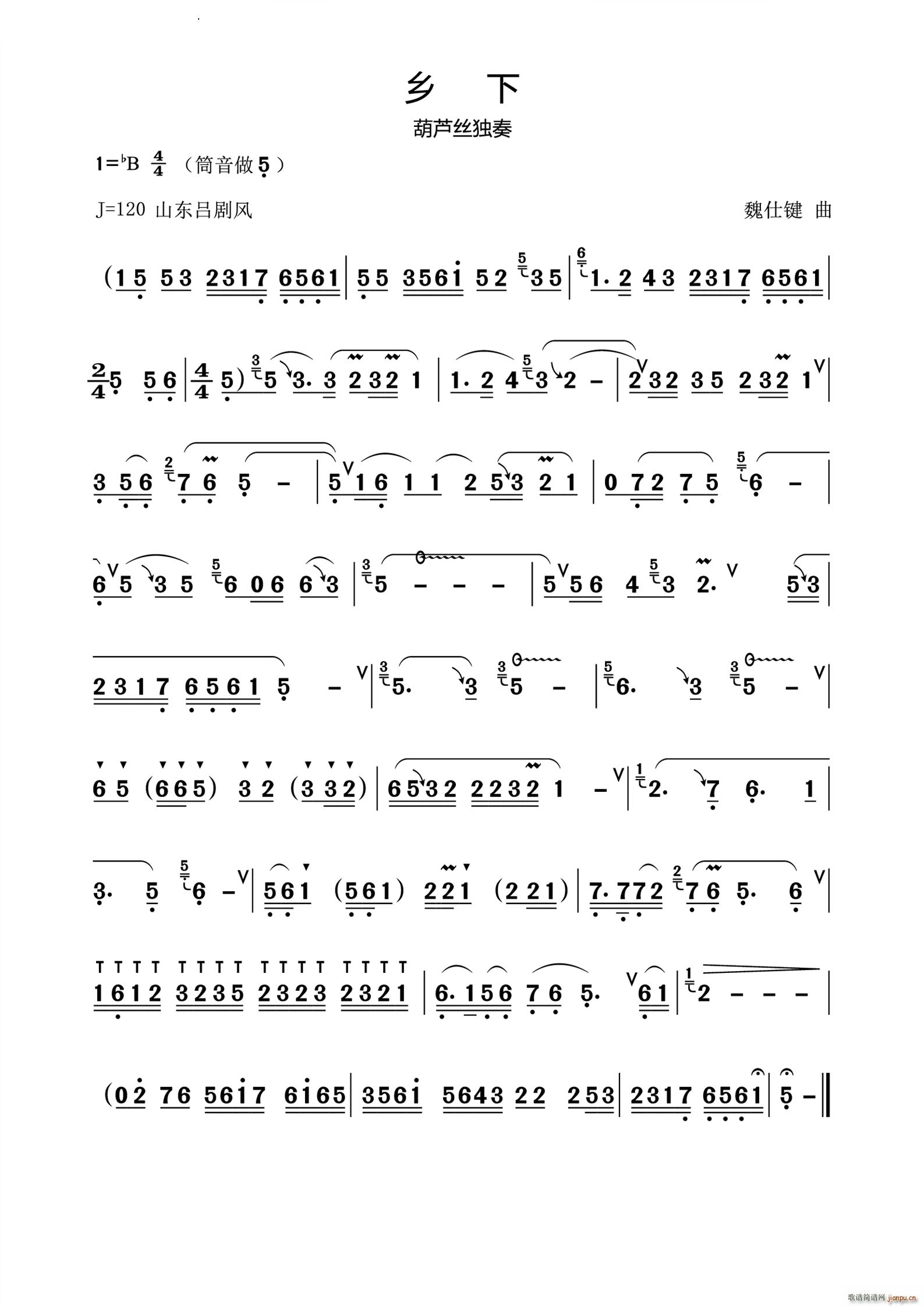 乡下葫芦丝独奏