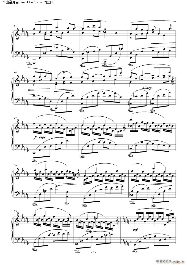 校门口的林荫小道