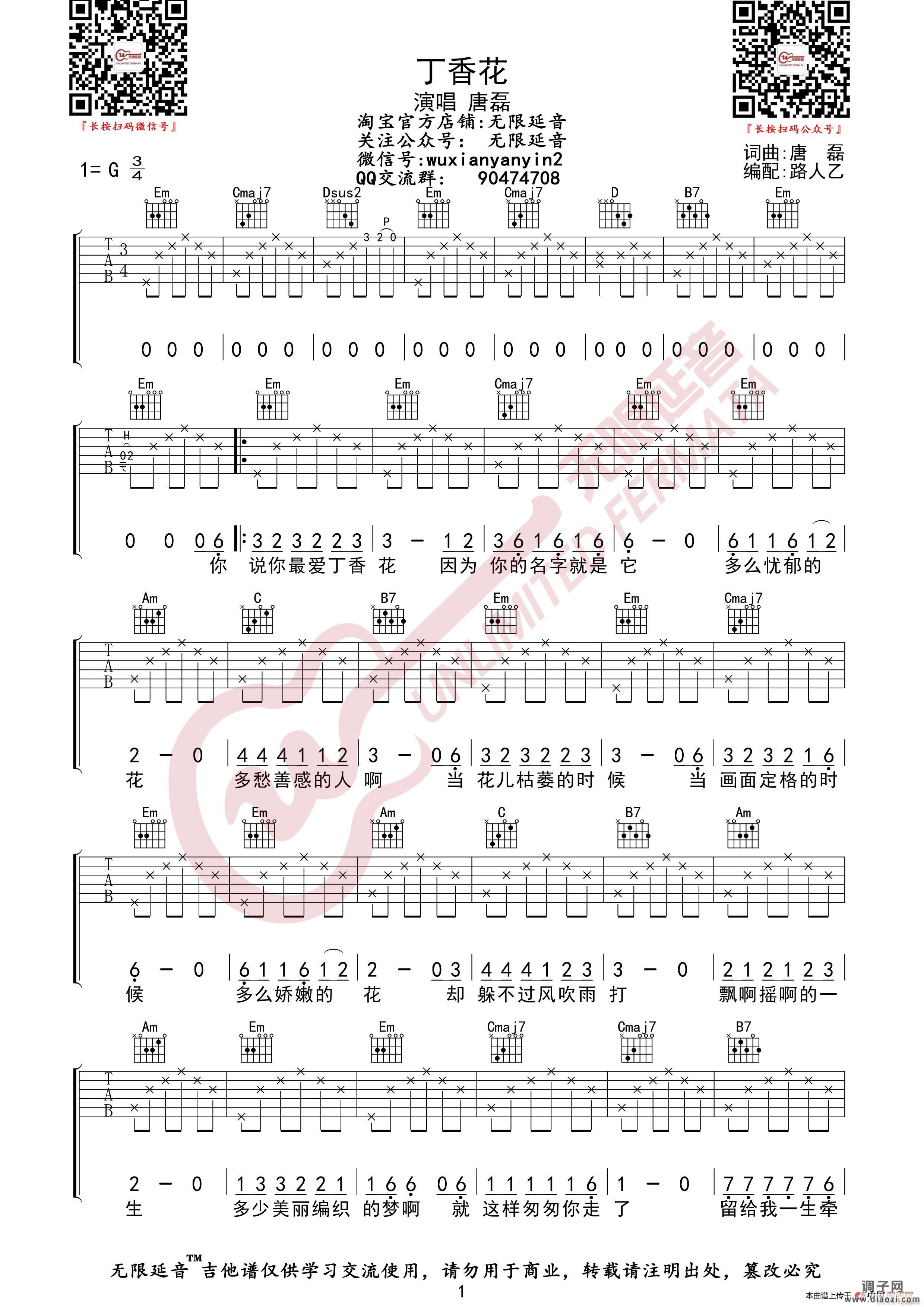 唐磊 丁香花 （无限延音编配）