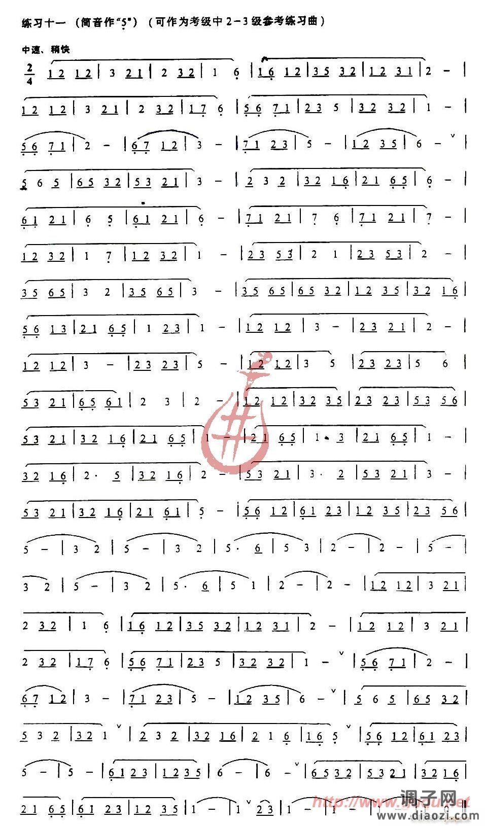 发音、长音及基础练习