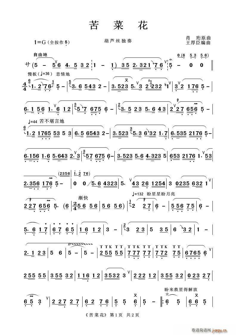 苦菜花（葫芦丝独奏）